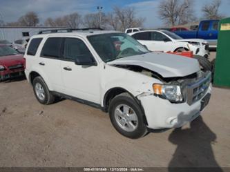 FORD ESCAPE XLT