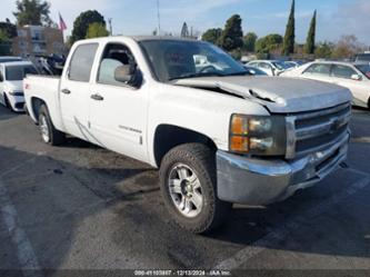 CHEVROLET SILVERADO 1500 LT