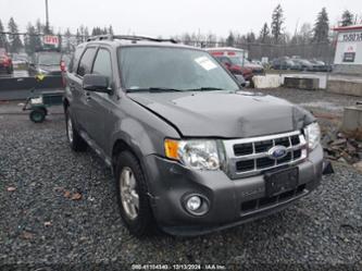 FORD ESCAPE XLT