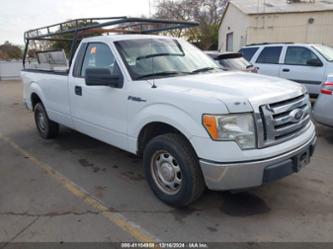 FORD F-150 XL