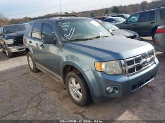 FORD ESCAPE XLT