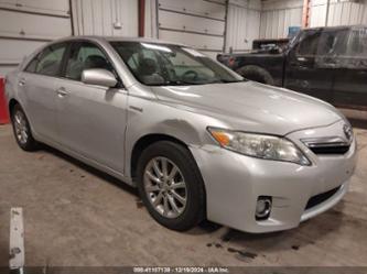 TOYOTA CAMRY HYBRID