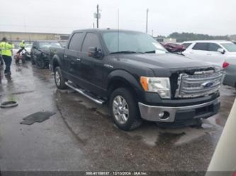 FORD F-150 XLT