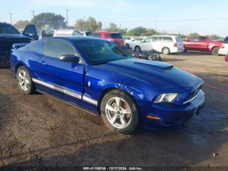 FORD MUSTANG V6