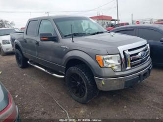 FORD F-150 XLT