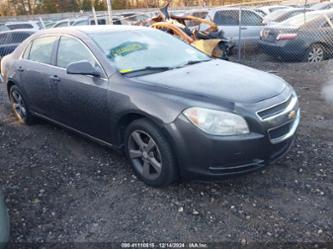 CHEVROLET MALIBU 1LT