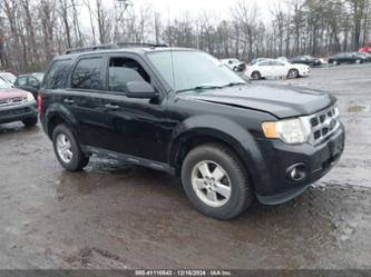 FORD ESCAPE XLT