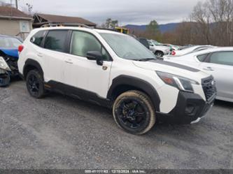 SUBARU FORESTER WILDERNESS