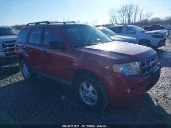 FORD ESCAPE XLT