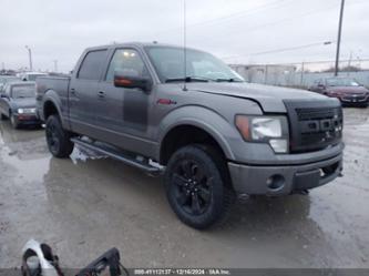 FORD F-150 FX4