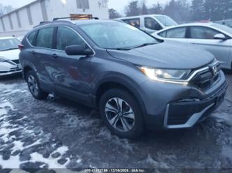 HONDA CR-V AWD LX