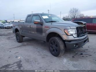 FORD F-150 FX4