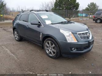 CADILLAC SRX PREMIUM COLLECTION