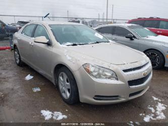 CHEVROLET MALIBU LT