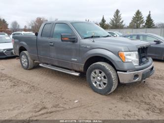 FORD F-150 XLT