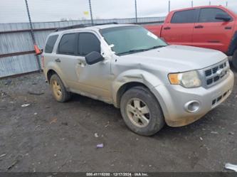 FORD ESCAPE XLS