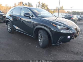 LEXUS NX 300