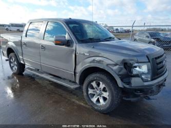 FORD F-150 FX4