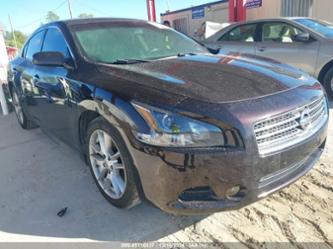 NISSAN MAXIMA 3.5 S