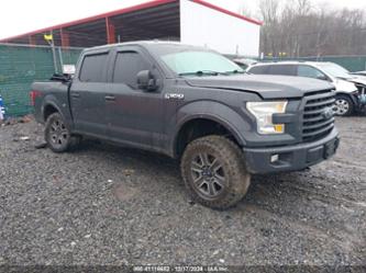 FORD F-150 XLT