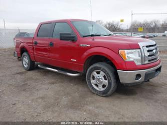 FORD F-150 XLT