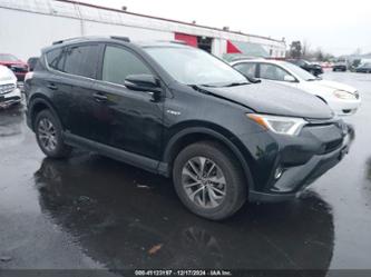 TOYOTA RAV4 LE/XLE