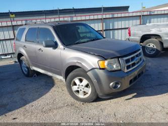 FORD ESCAPE XLT