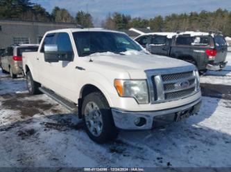 FORD F-150 FX4/HARLEY-DAVIDSON/KING RANCH/LARIAT/PLATINUM/XL/XLT