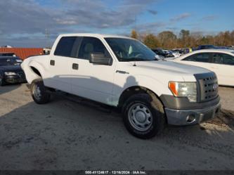 FORD F-150 XL