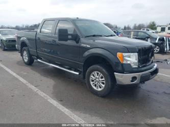 FORD F-150 XLT