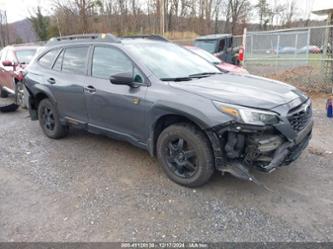 SUBARU OUTBACK WILDERNESS