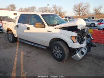 FORD F-150 XLT