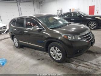 HONDA CR-V EX