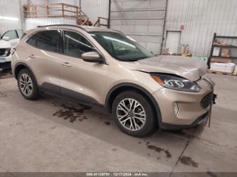 FORD ESCAPE SEL