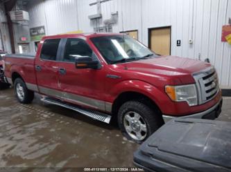 FORD F-150 XLT