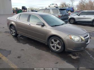 CHEVROLET MALIBU 1LT