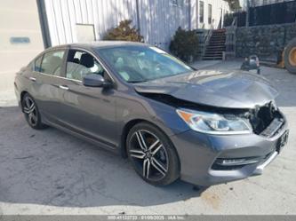 HONDA ACCORD SPORT SE