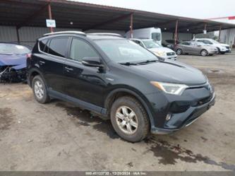 TOYOTA RAV4 HYBRID XLE