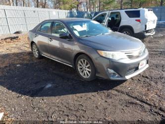 TOYOTA CAMRY XLE V6