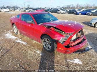 FORD MUSTANG V6