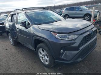 TOYOTA RAV4 HYBRID XLE