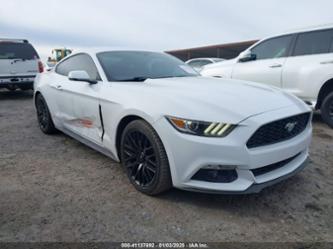 FORD MUSTANG ECOBOOST