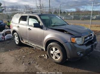 FORD ESCAPE XLT