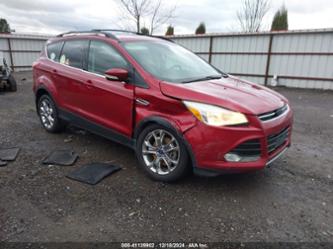 FORD ESCAPE SEL