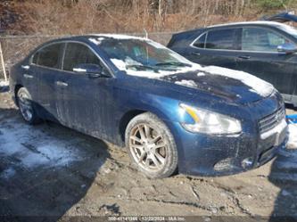 NISSAN MAXIMA 3.5 SV