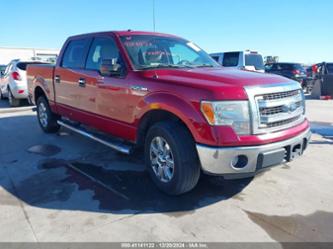 FORD F-150 XLT