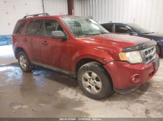 FORD ESCAPE XLT