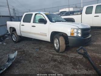 CHEVROLET SILVERADO 1500 1HY