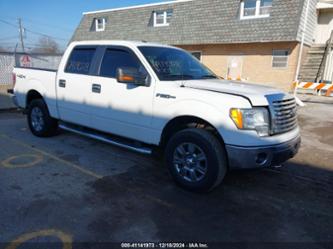 FORD F-150 XLT