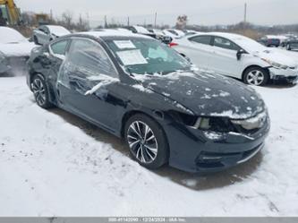 HONDA ACCORD EX-L V6